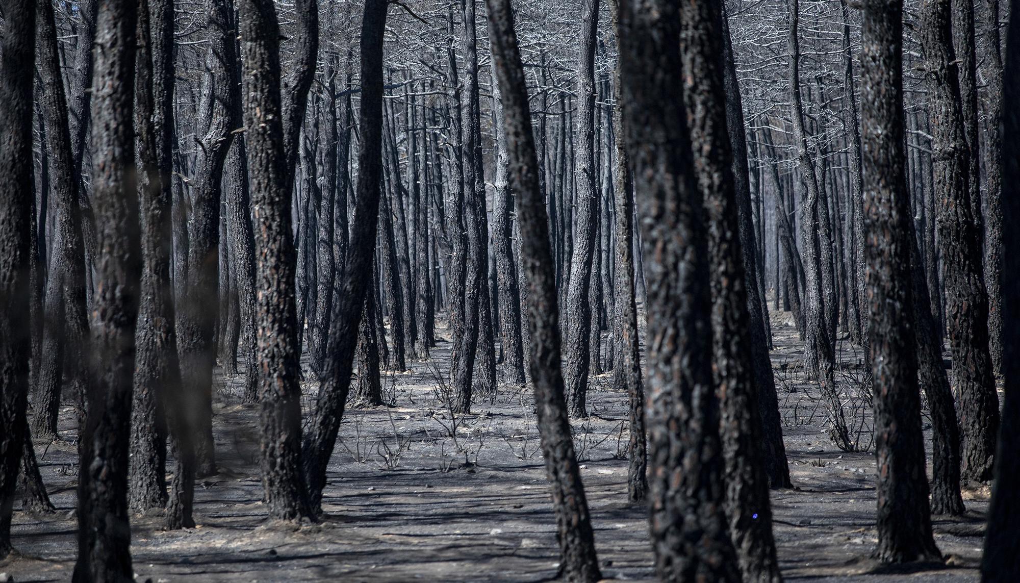 Geografía calcinada enfoques - 1